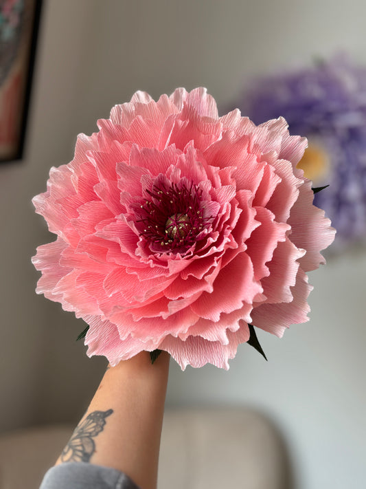 Pivoine au Cœur d'Or