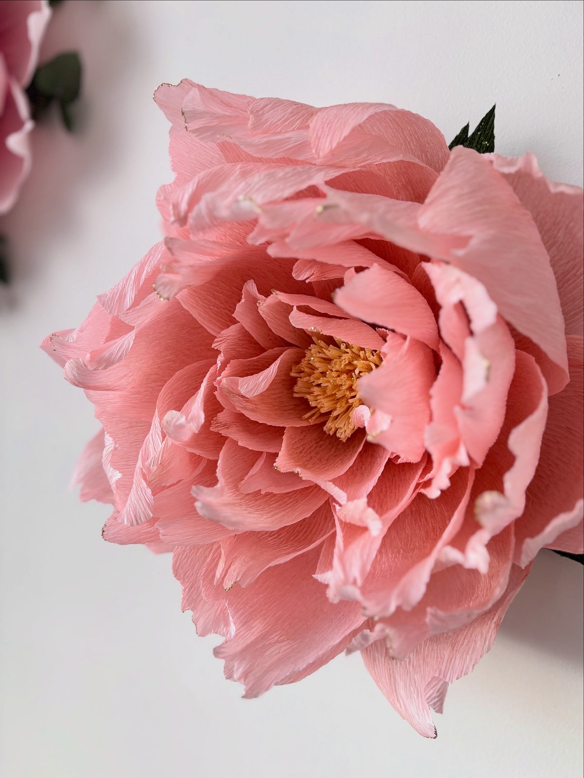Pivoine Enchantée