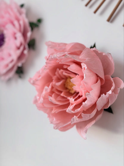 Pivoine Enchantée