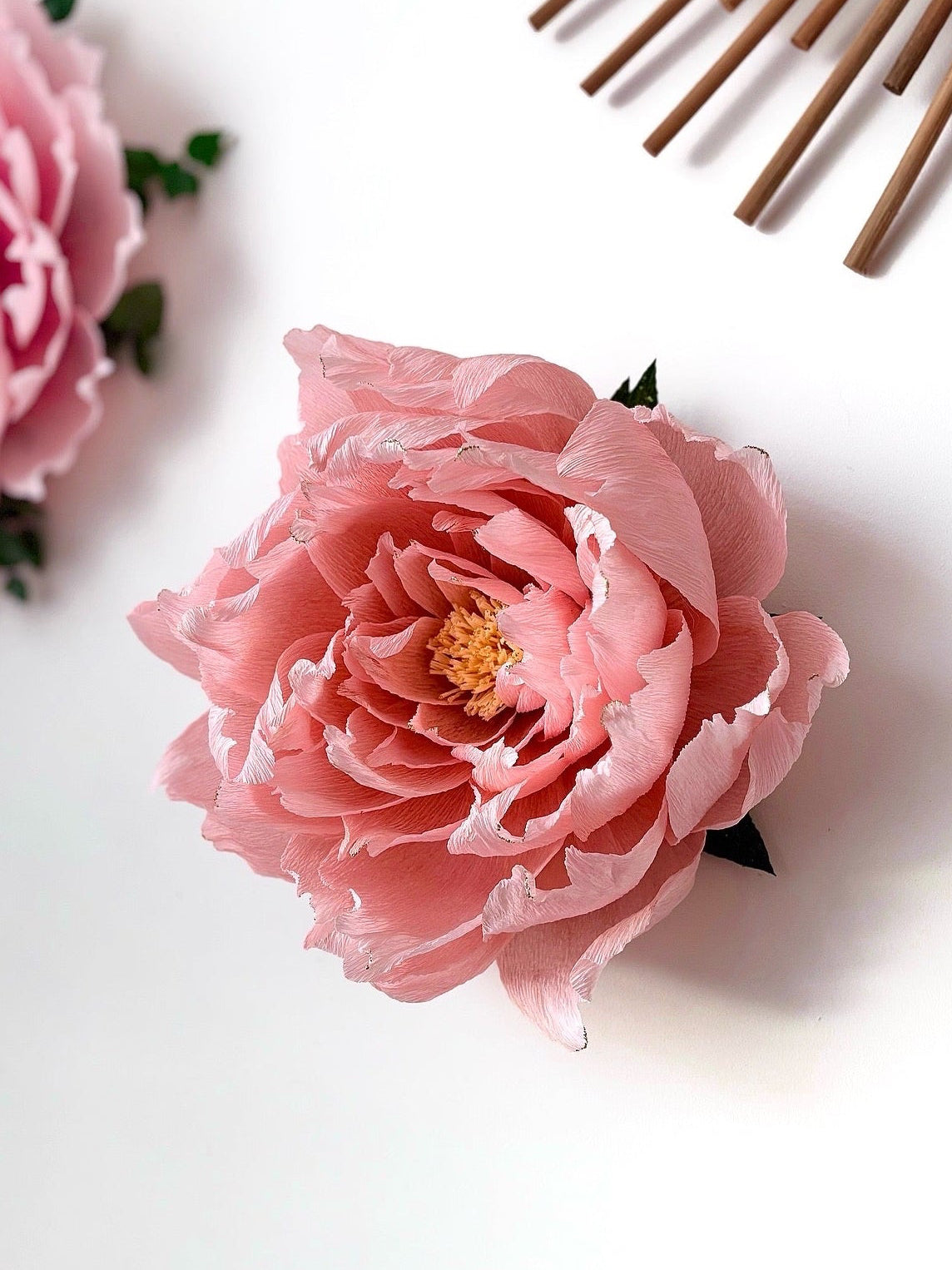 Pivoine Enchantée