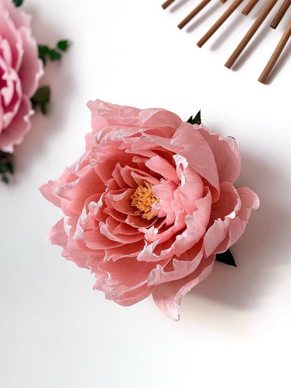 Pivoine Enchantée