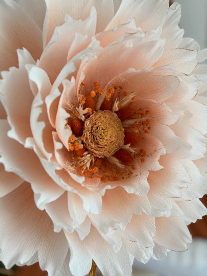 Merveille Terracotta