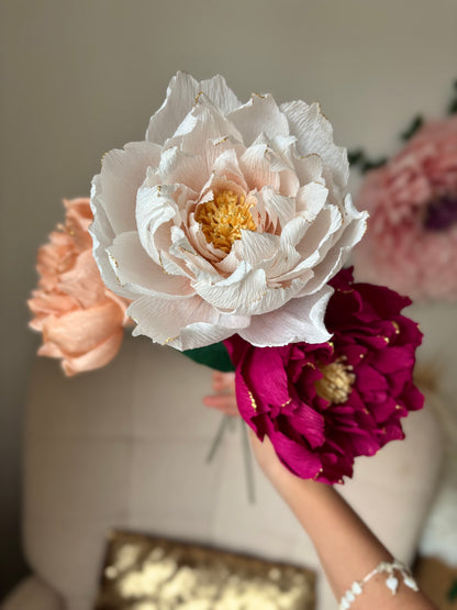 Pivoine Éternelle