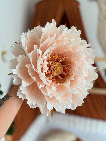 Merveille Terracotta