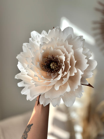 Pivoine au Cœur d'Or