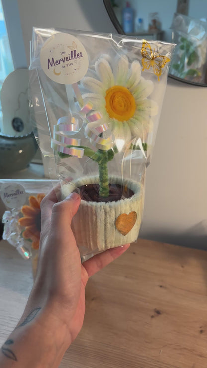 Mini Marguerite